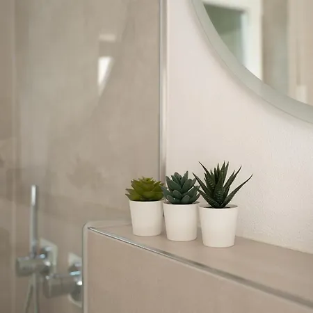 Lo * Friedrichshafen